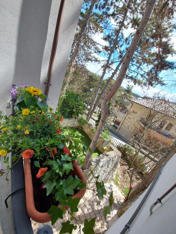 La Pineta - Delightful Small Apartment Near The City Center LʼAquila Екстериор снимка